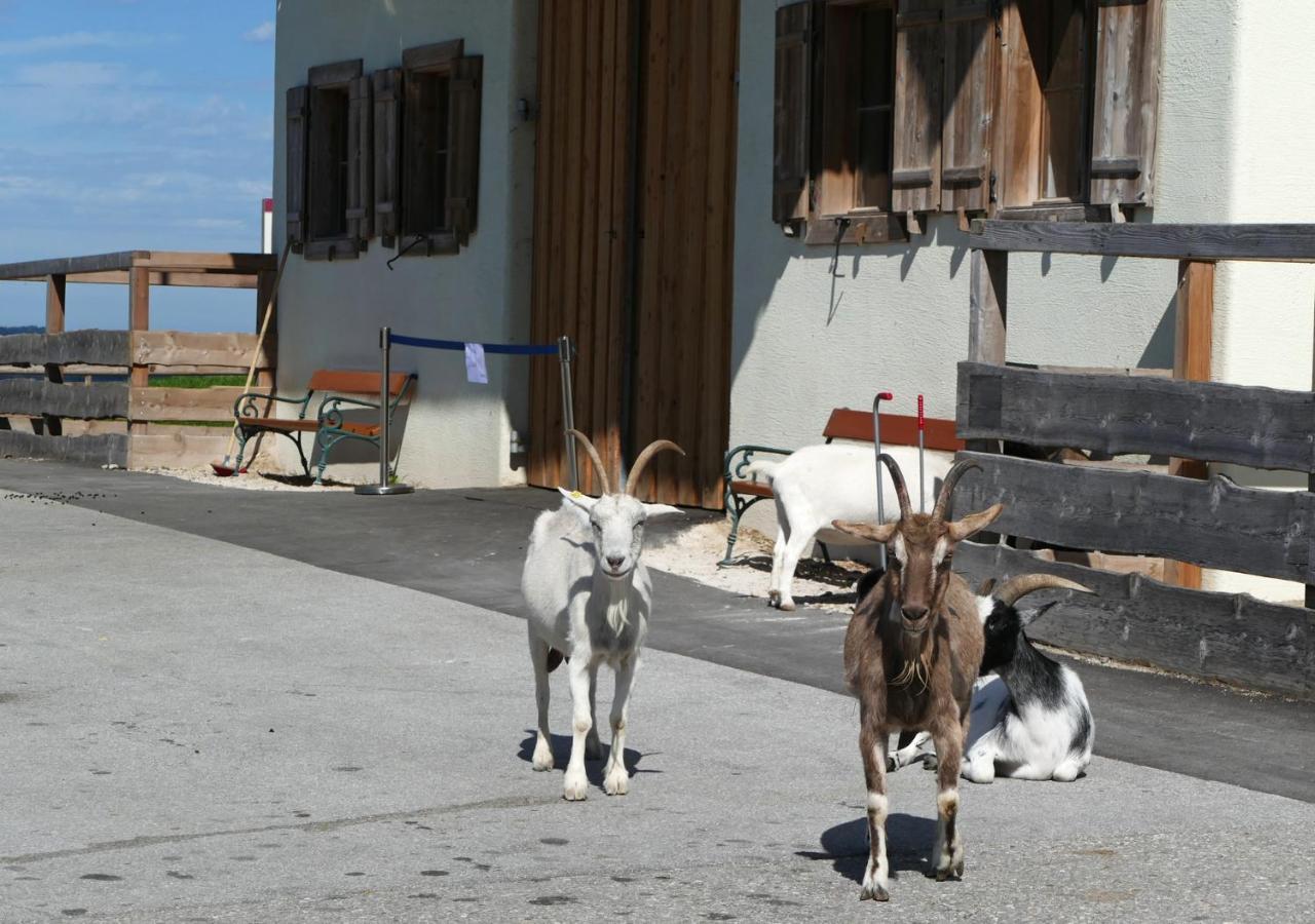 Refugio Del Lago Seekirchen Markt Exterior foto